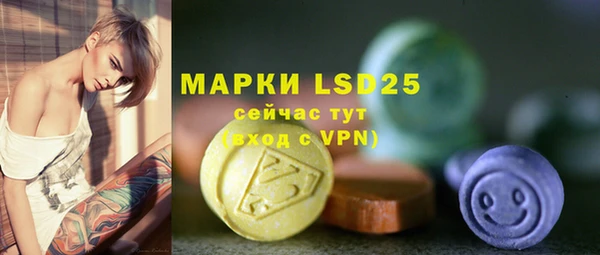 хмурый Верея