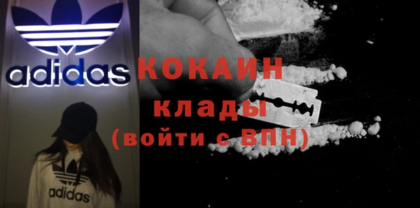 хмурый Верея