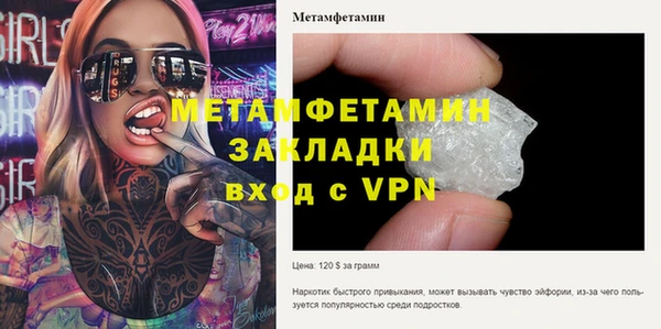 хмурый Верея