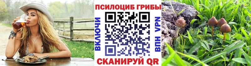 Галлюциногенные грибы Magic Shrooms  Купить  Красноуральск 